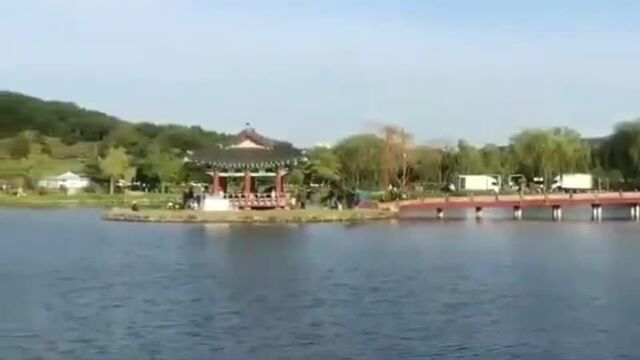 Видео порнуха #62256