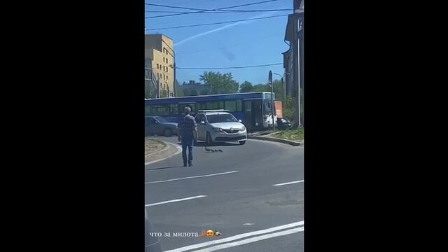 Видео порнуха #198997