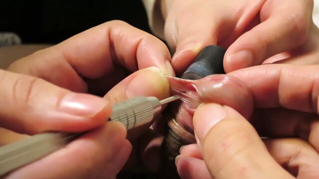 Видео порнуха #171632