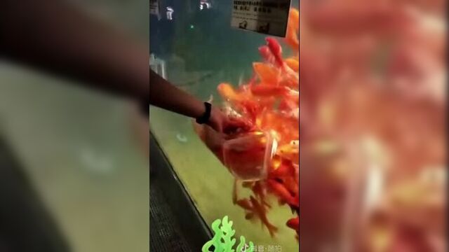 Видео порнуха #47111