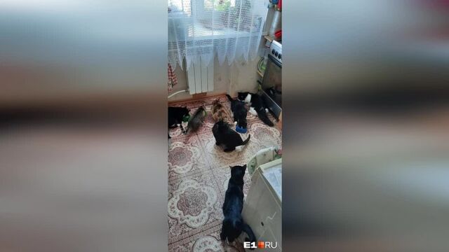 Видео порнуха #181102