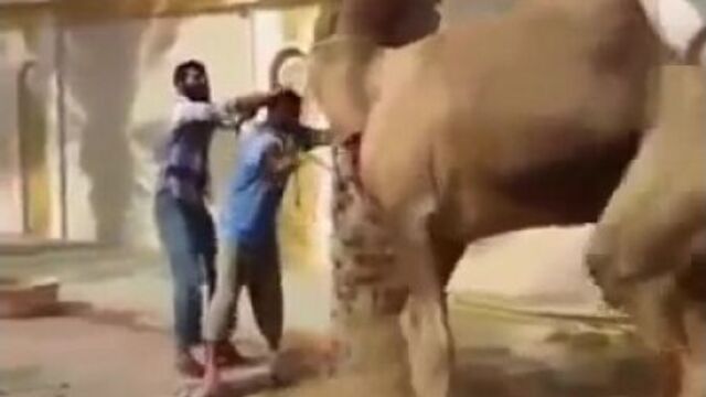 Видео порнуха #14035