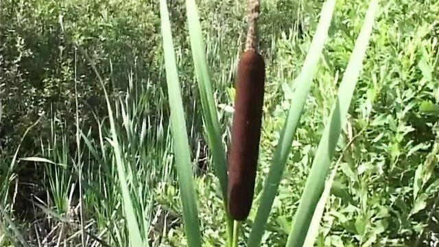 Видео порнуха #73205