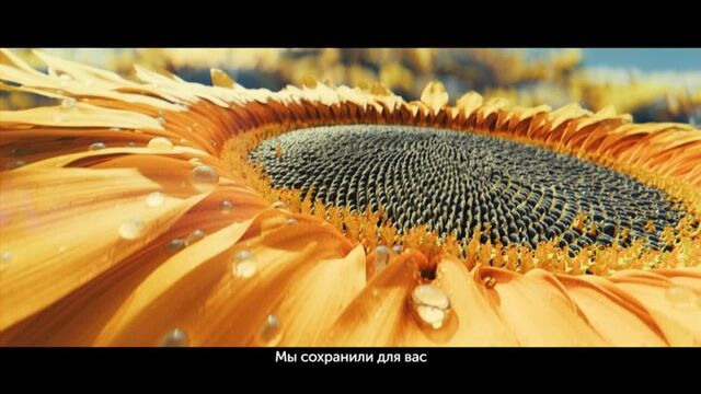 Видео порнуха #179272