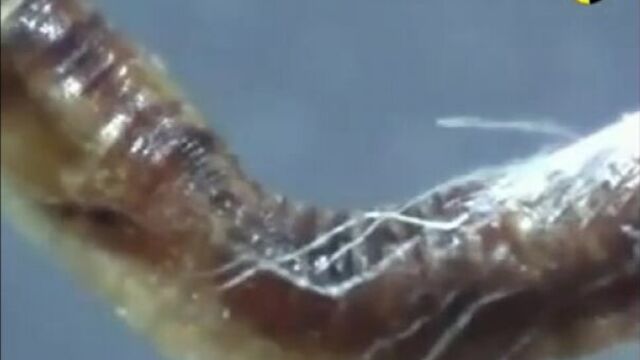 Видео порнуха #18137