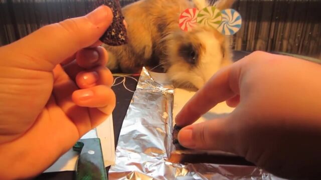 Видео порнуха #36645