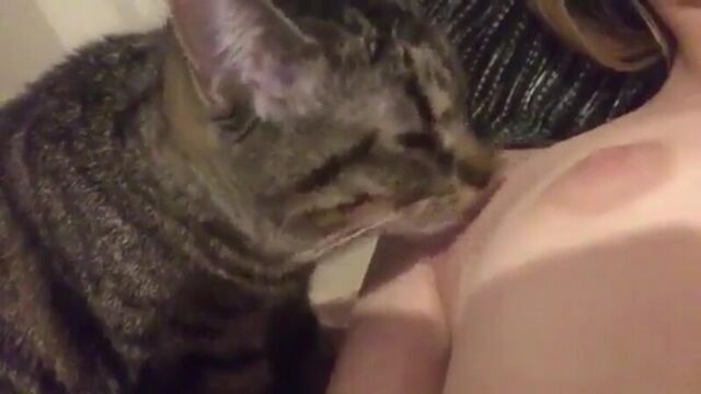 Видео порнуха #218856