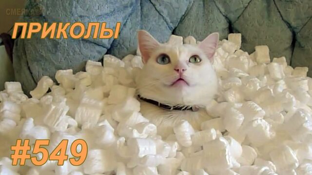 Видео порнуха #104012