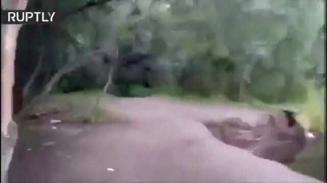 Видео порнуха #171347