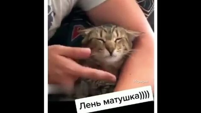 Видео порнуха #74520