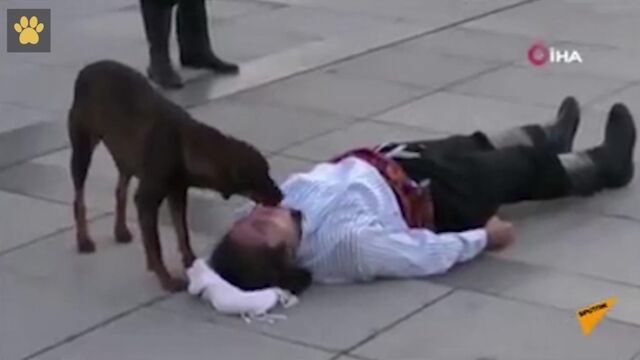 Видео порнуха #188109