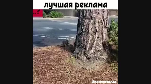 Видео порнуха #168868