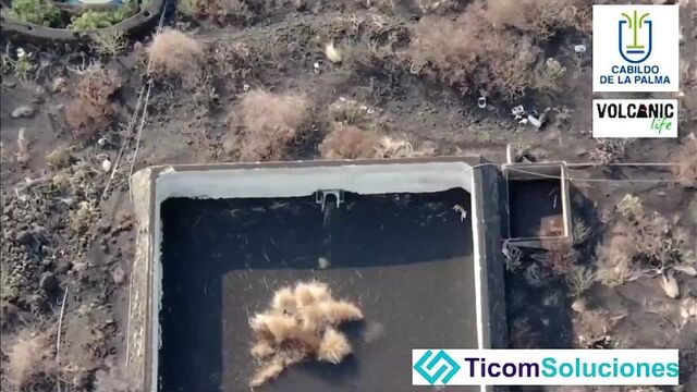 Видео порнуха #83206