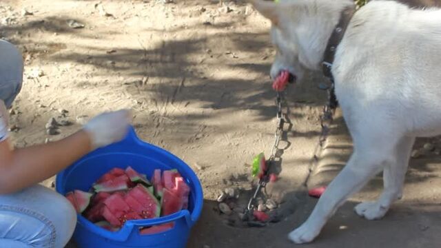 Видео порнуха #61014