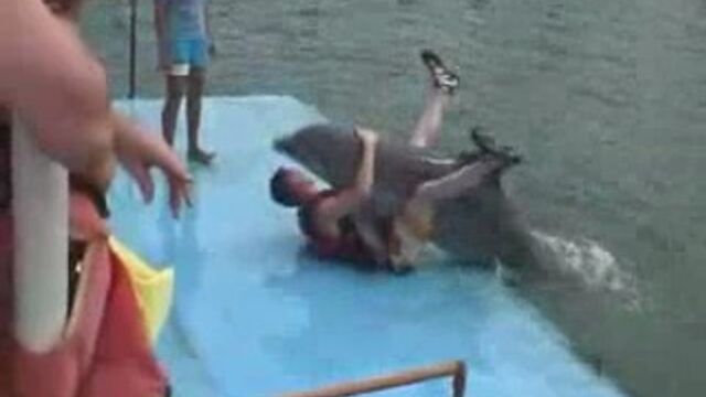 Видео порнуха #1983