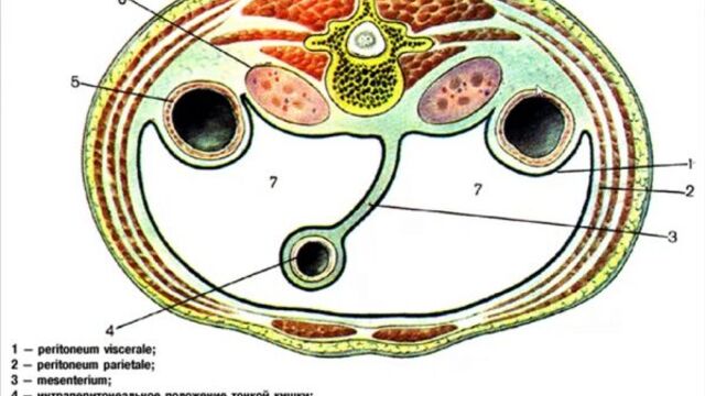 Видео порнуха #23036