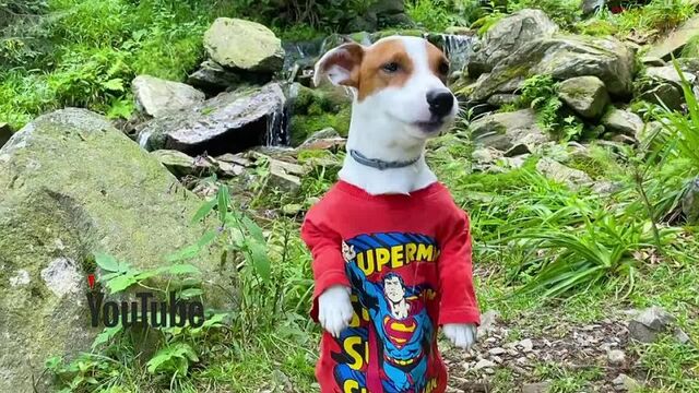 Видео порнуха #76805