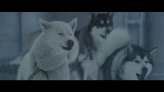 Видео порнуха #118151