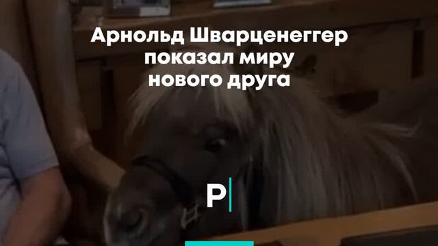 Видео порнуха #53011