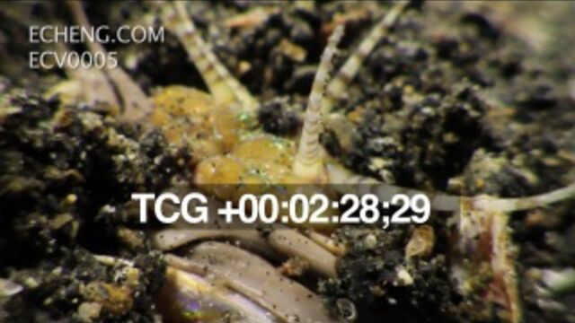 Видео порнуха #10649