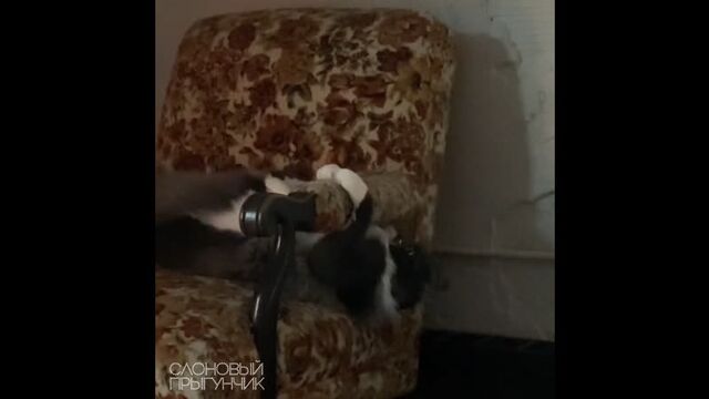 Видео порнуха #168772