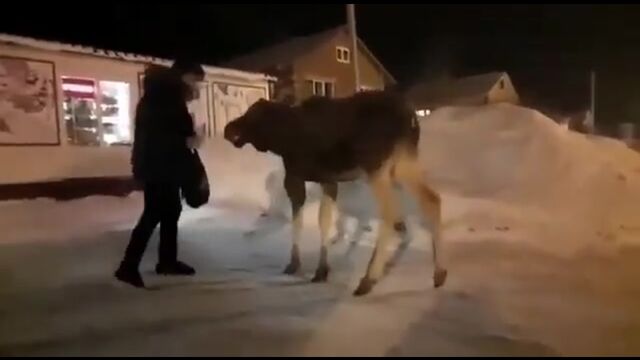 Видео порнуха #181812