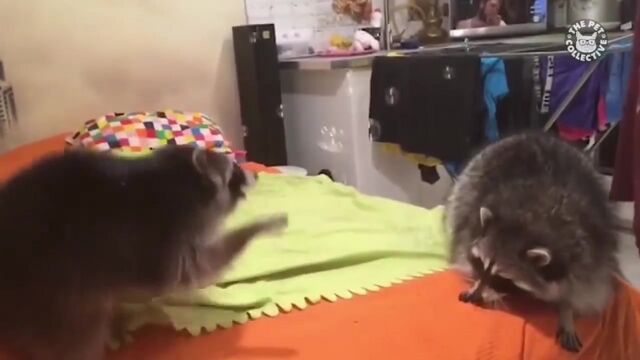 Видео порнуха #192157