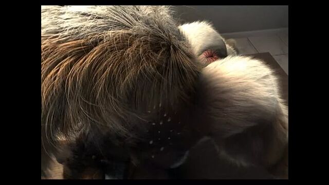 Видео порнуха #102277