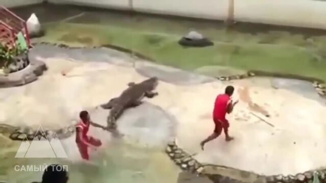 Видео порнуха #18351