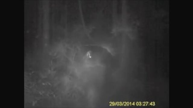 Видео порнуха #154844