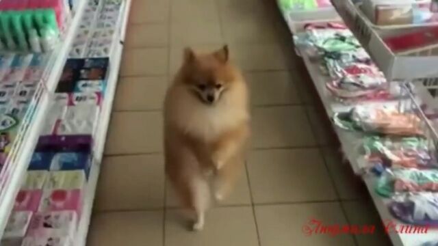 Видео порнуха #122539