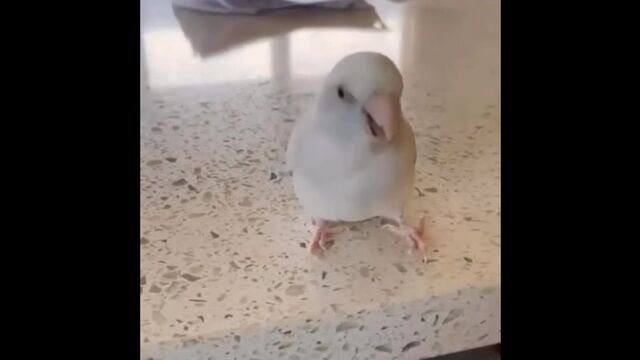 Видео порнуха #79693