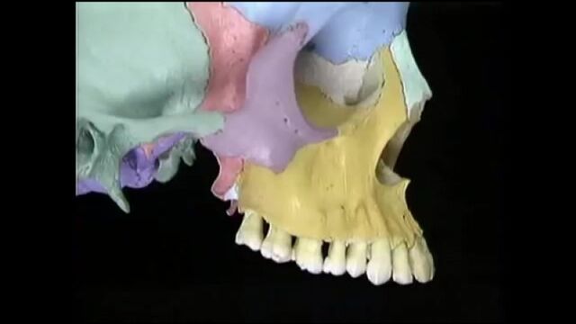 Видео порнуха #16190