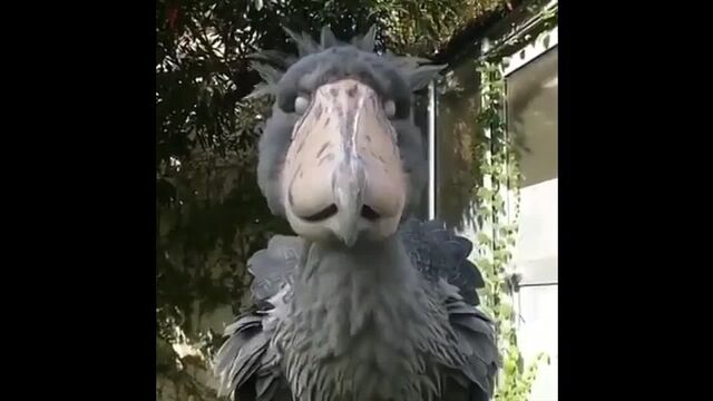 Видео порнуха #119213