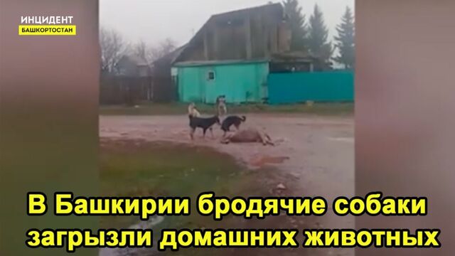 Видео порнуха #116418