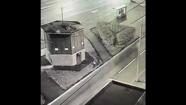 Видео порнуха #98731