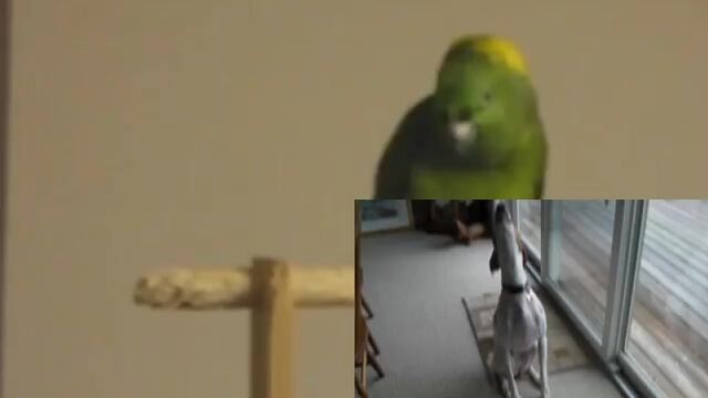 Видео порнуха #29790