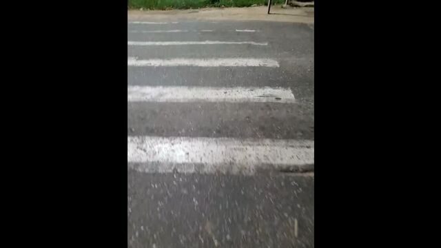 Видео порнуха #80284