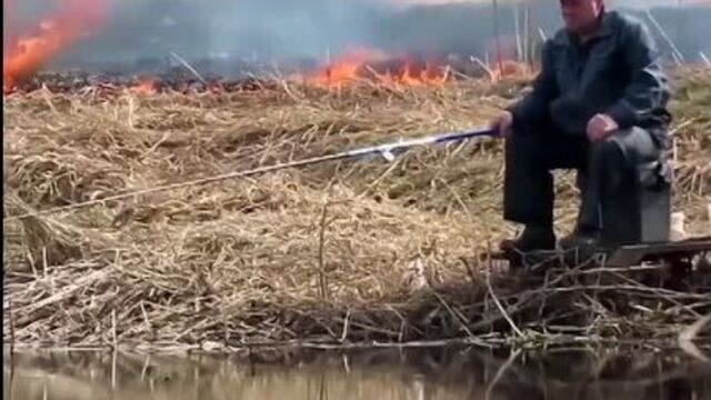 Видео порнуха #72464