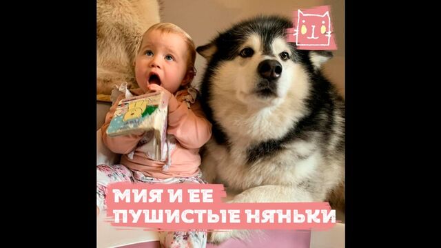 Видео порнуха #189287