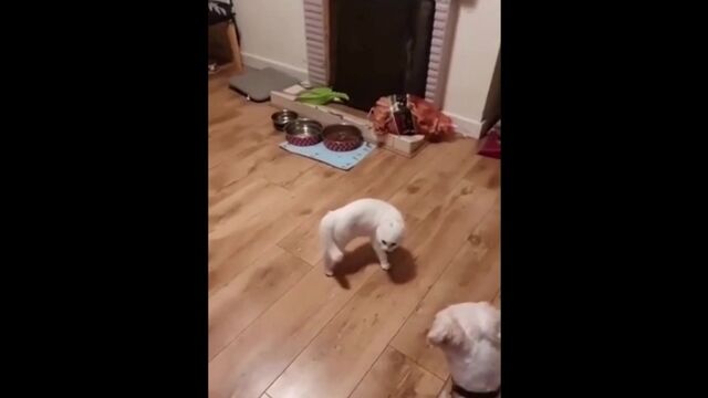 Видео порнуха #192295