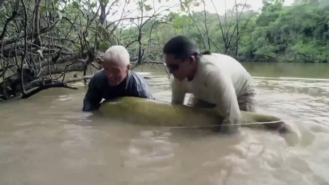 Видео порнуха #101600