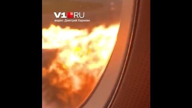 Видео порнуха #184694