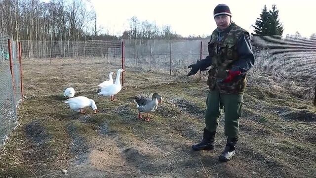 Видео порнуха #71961