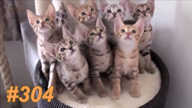 Видео порнуха #159699