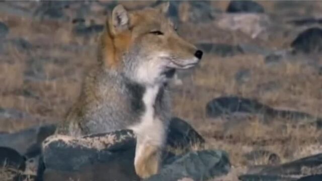 Видео порнуха #55245