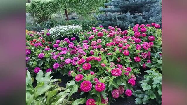 Видео порнуха #113417