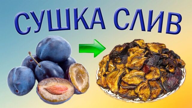 Видео порнуха #75819