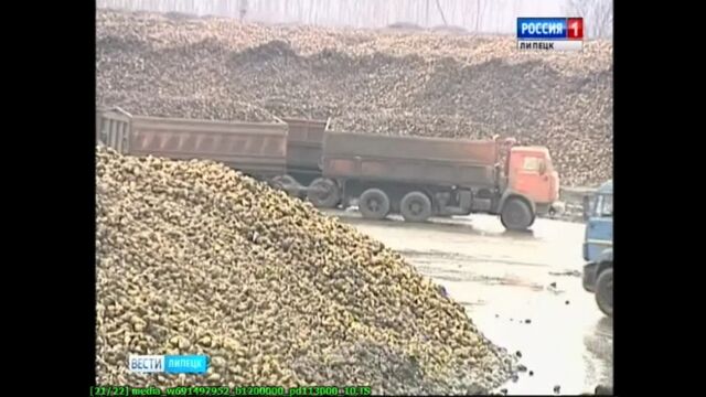 Видео порнуха #142798