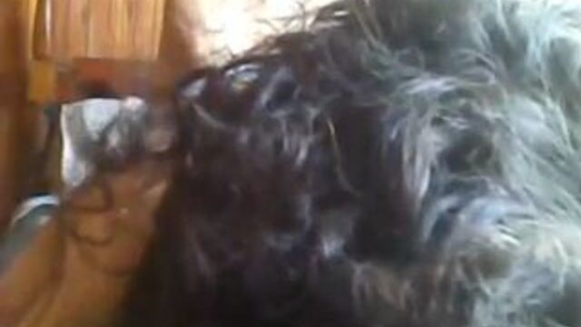 Видео порнуха #227157